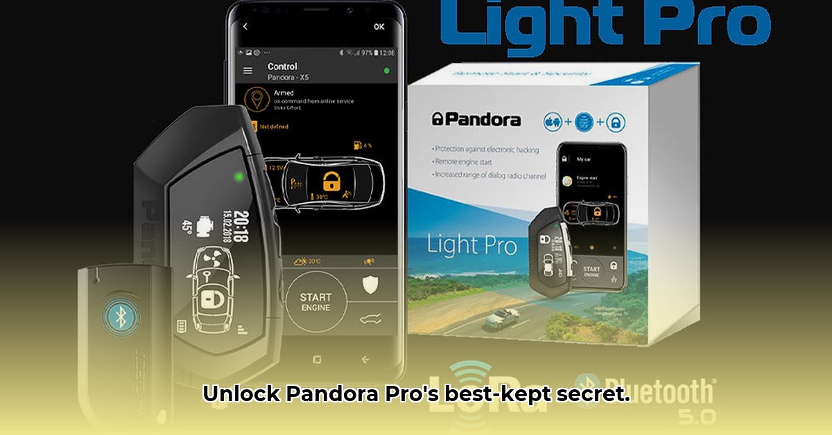 pandora-pro